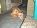dscn1749.jpg